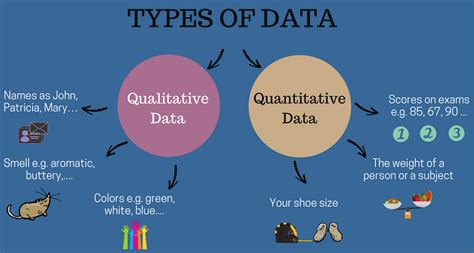 quantitative vs qualitative data